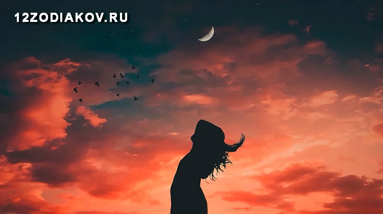 Новолуние в Раке: каким знакам зодиака повезет?