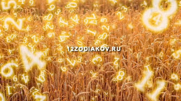 Нумерологический прогноз на 24 июля