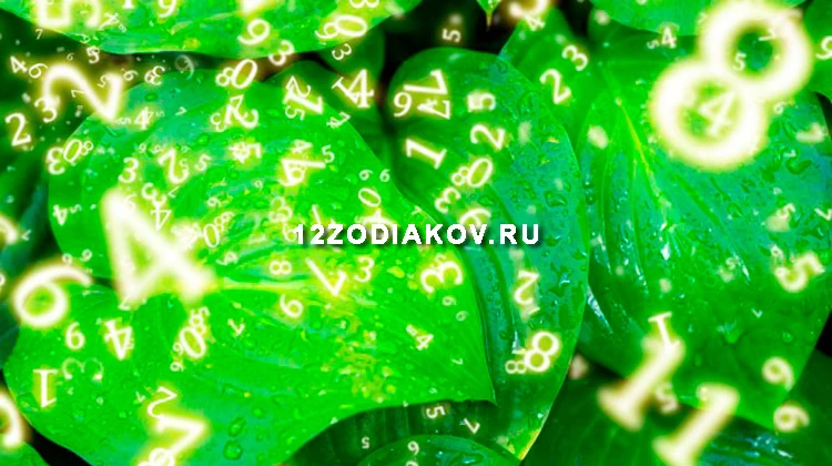 Нумерологический прогноз на 6 июля: Приятный день