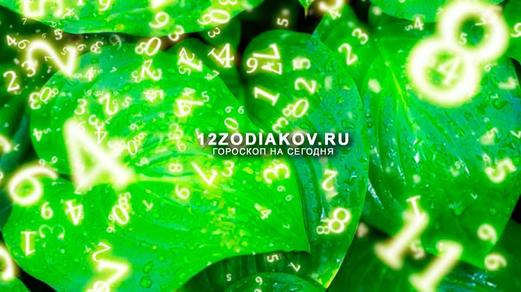Нумерологический прогноз на 8 августа