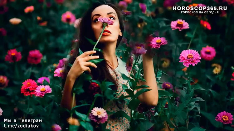 🌿 Вербное воскресенье: 4 знака зодиака, которых судьба ведет к богатству!