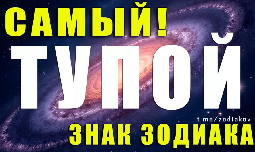 😅 Самый «тупой» знак зодиака: правда, мифы и звёздное недоразумение