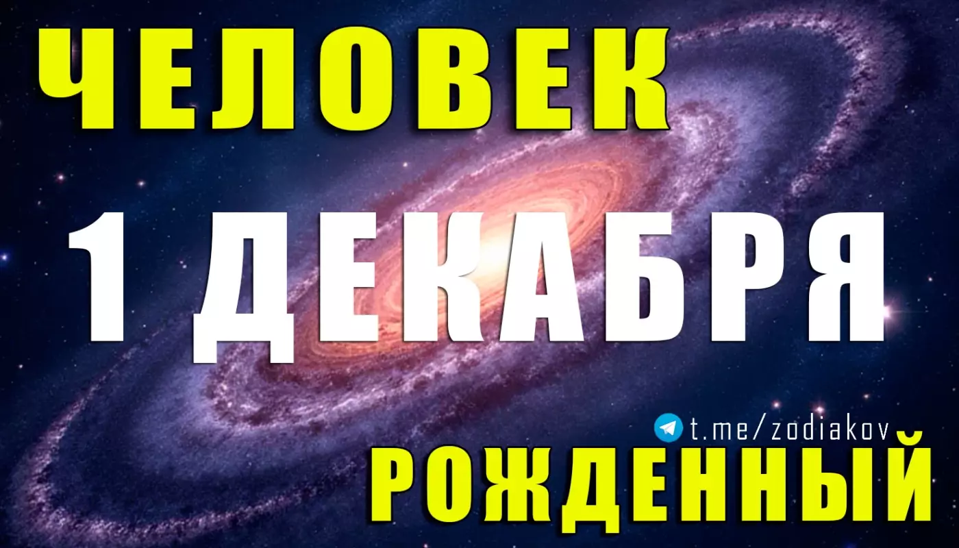 Подробная характеристика человека, родившегося 1 декабря