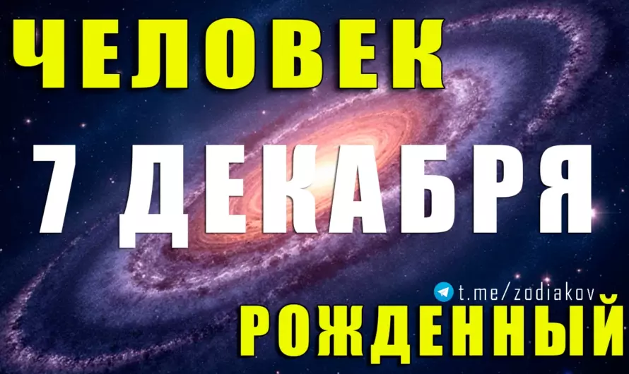 ✨ 7 декабря: почему эти Стрельцы притягивают успех, людей и судьбоносные возможности?
