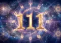 Значение числа 111