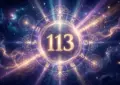 Значение числа 113